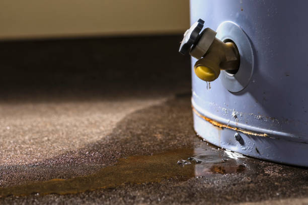 Best Fire Damage Restoration  in La Crosse, WI