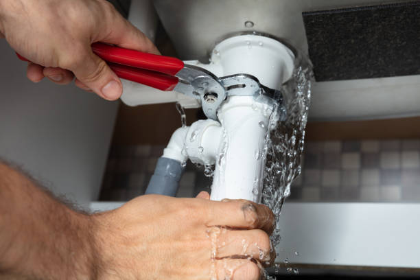 Best Water damage restoration services  in La Crosse, WI