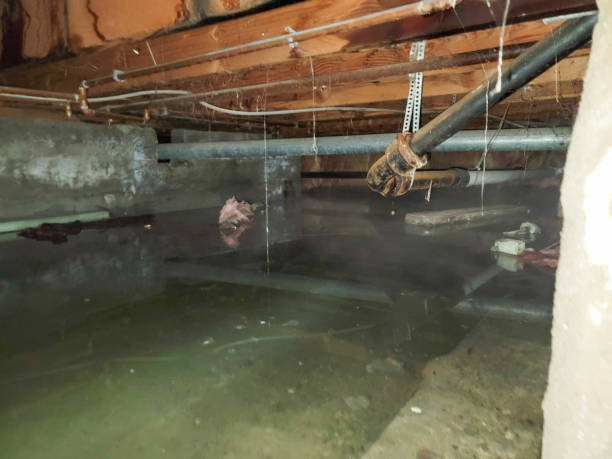 Best Commercial water damage restoration  in La Crosse, WI