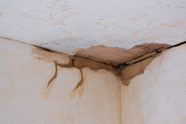 Best Sewage cleanup and water damage restoration  in La Crosse, WI