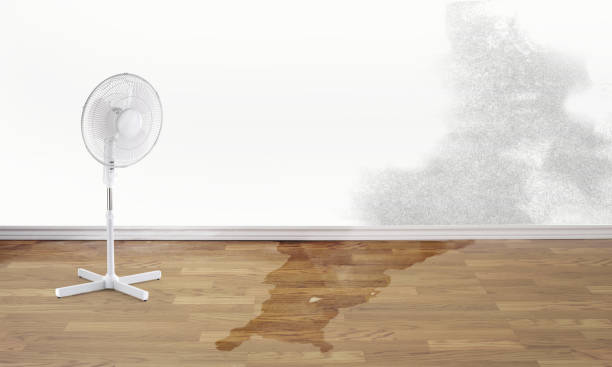 Best Local water damage restoration  in La Crosse, WI