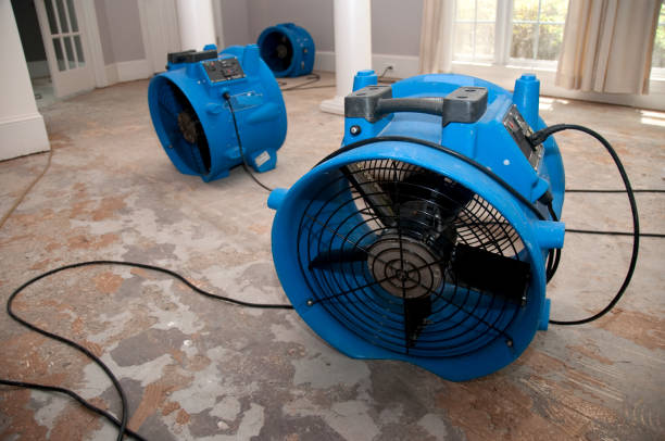 Best Water damage contractors near me  in La Crosse, WI