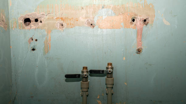  La Crosse, WI Water damage restoration Pros