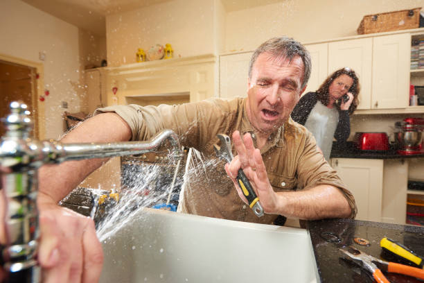 Best Mold removal after water damage  in La Crosse, WI